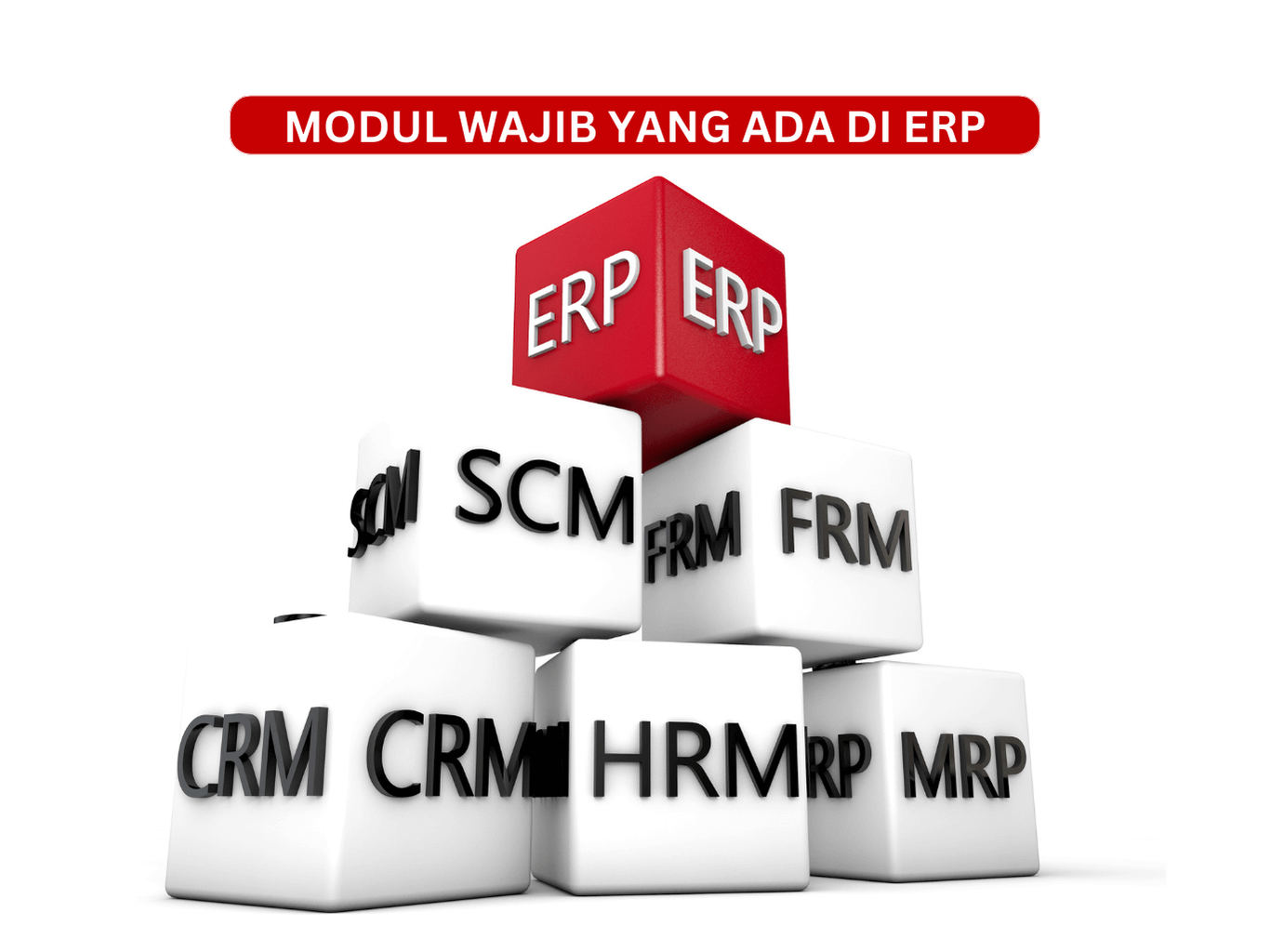 sistem erp dan sap