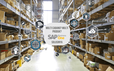 Multi Cabang? Multi Produk? SAP Business One Solusinya!